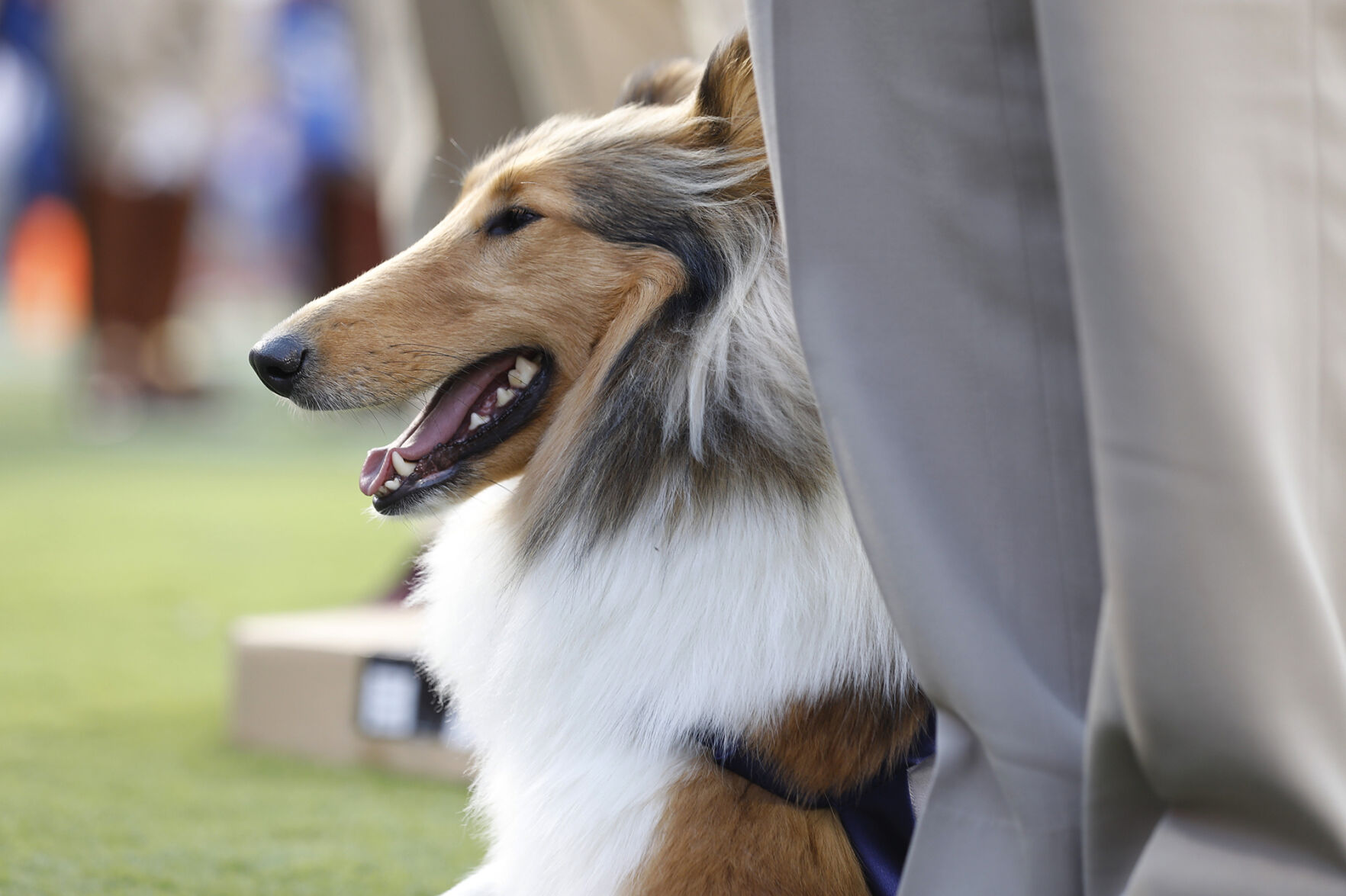 Reveille X